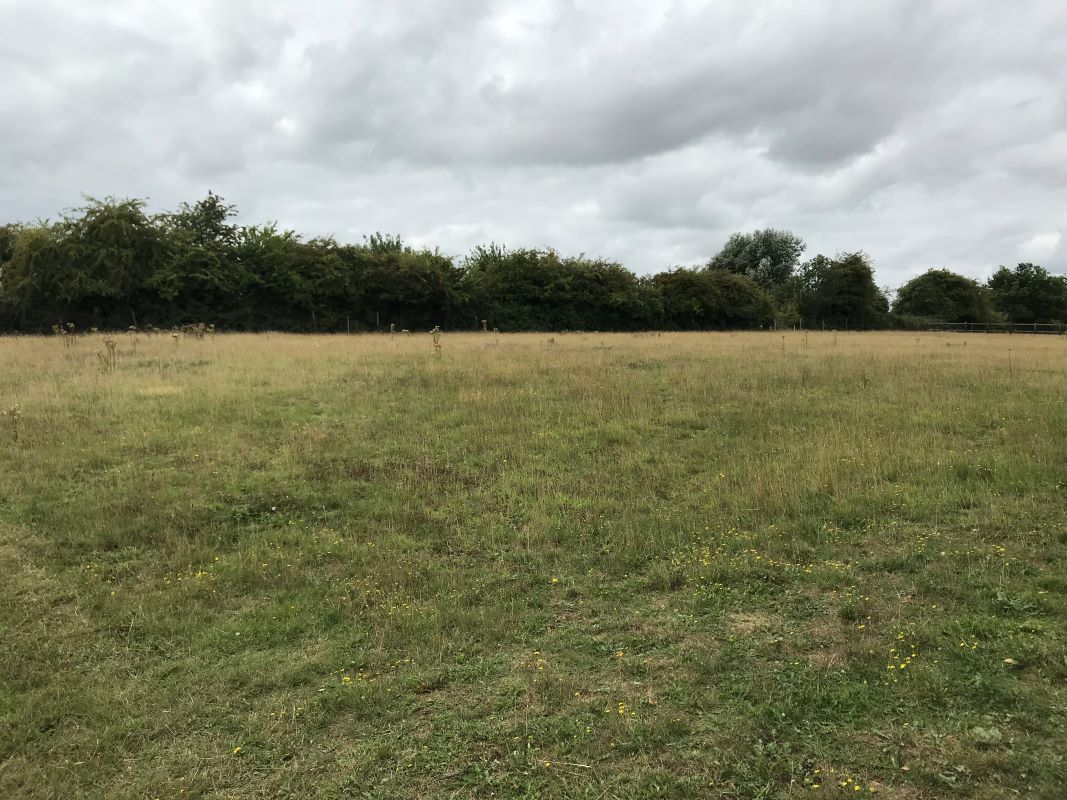 Bure Valley Meadow, Land adjoining Burgh Road, Spratts Green, Burgh next Aylsham, Norfolk, NR11 6TX