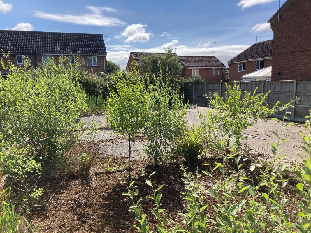 Building Plot adjacent to, 25 St. Peters Road, Fakenham, Norfolk, NR21 8AL