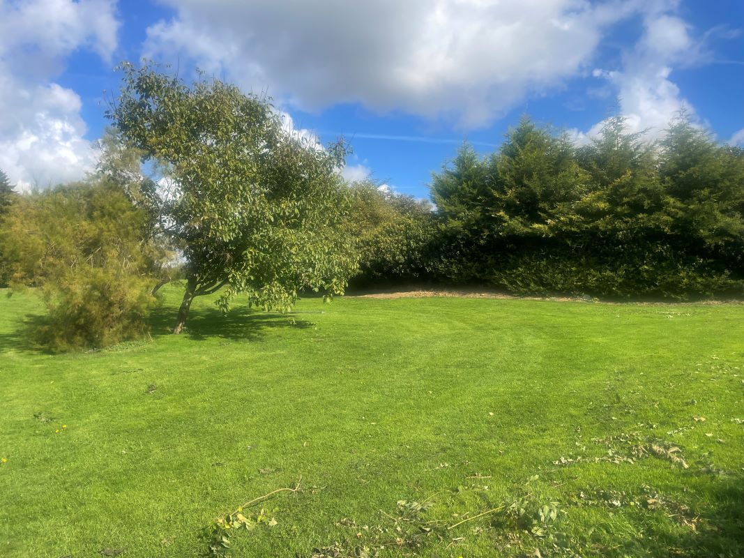 Dunbrewin, The Street, Flordon, Norwich, Norfolk, NR15 1RN