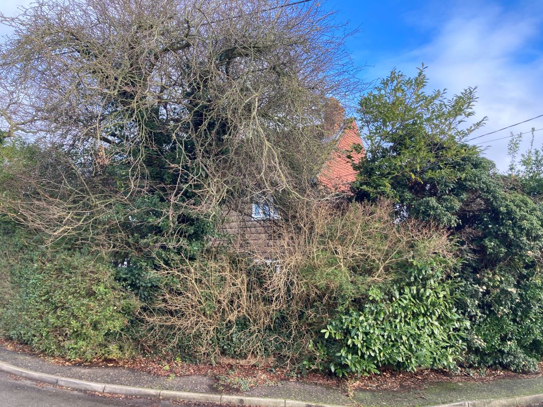 12 Kings Road, Holt, Norfolk, NR25 6DB