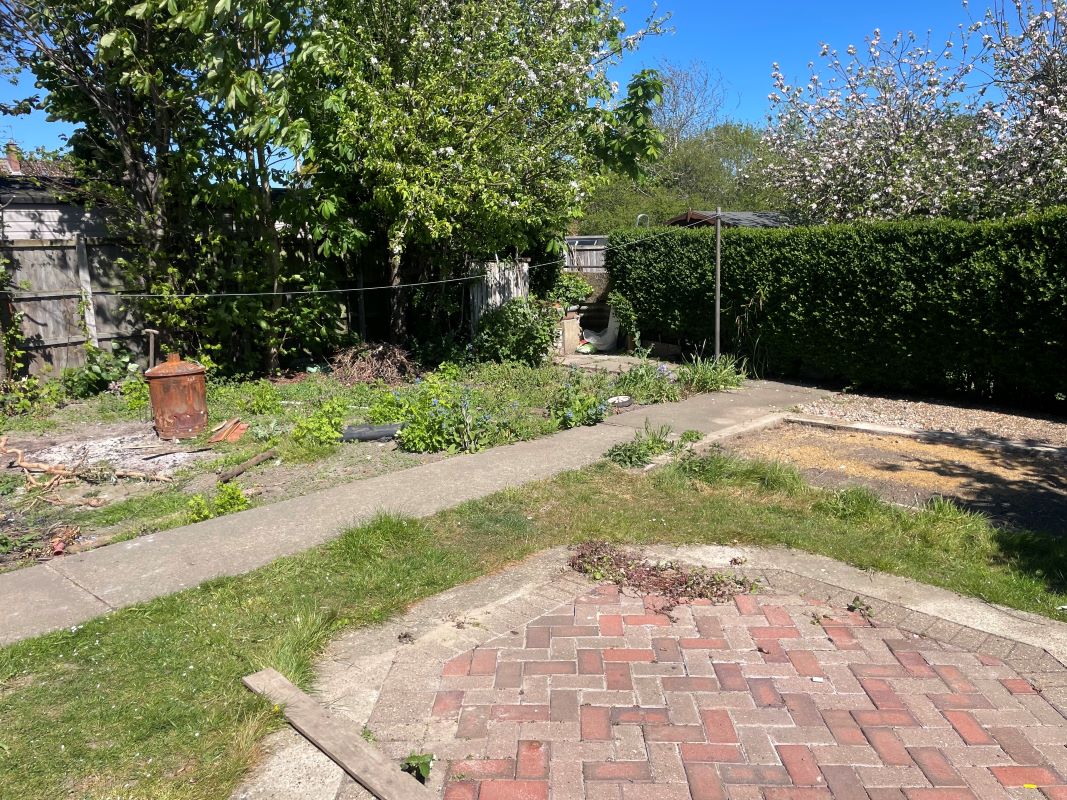 Lot Image