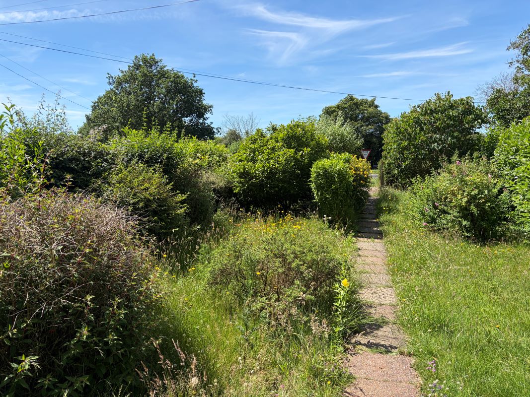 Lot Image