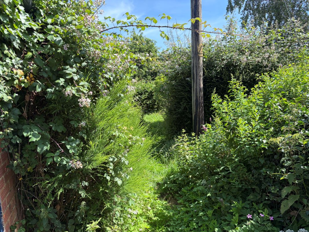 Lot Image