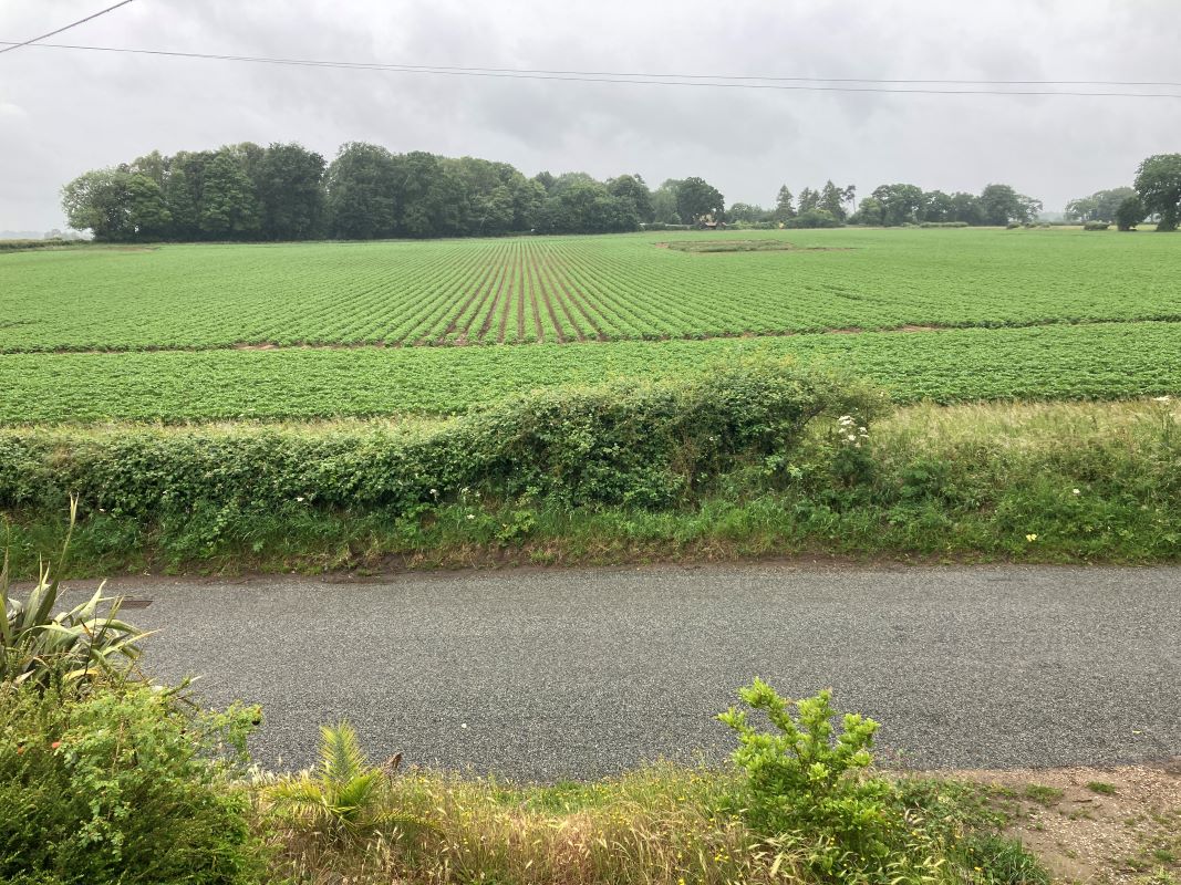 Lot Image