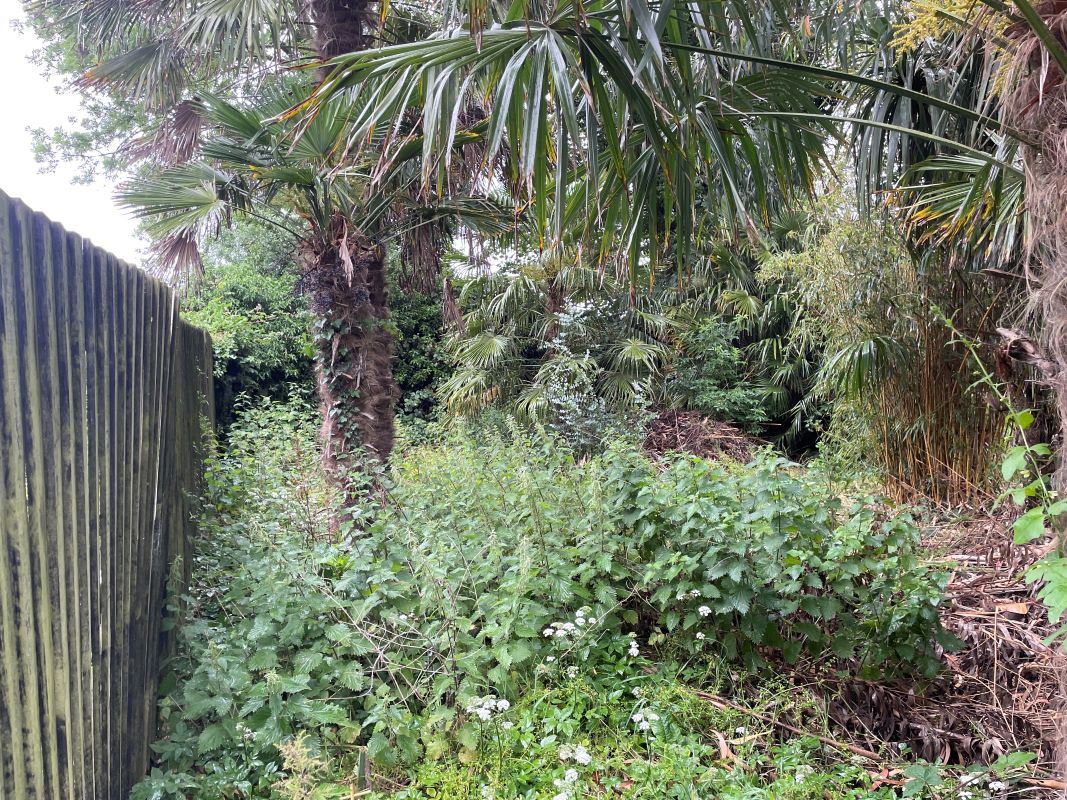 Lot Image