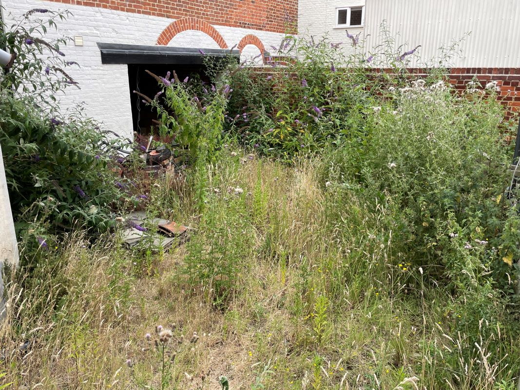 Lot Image