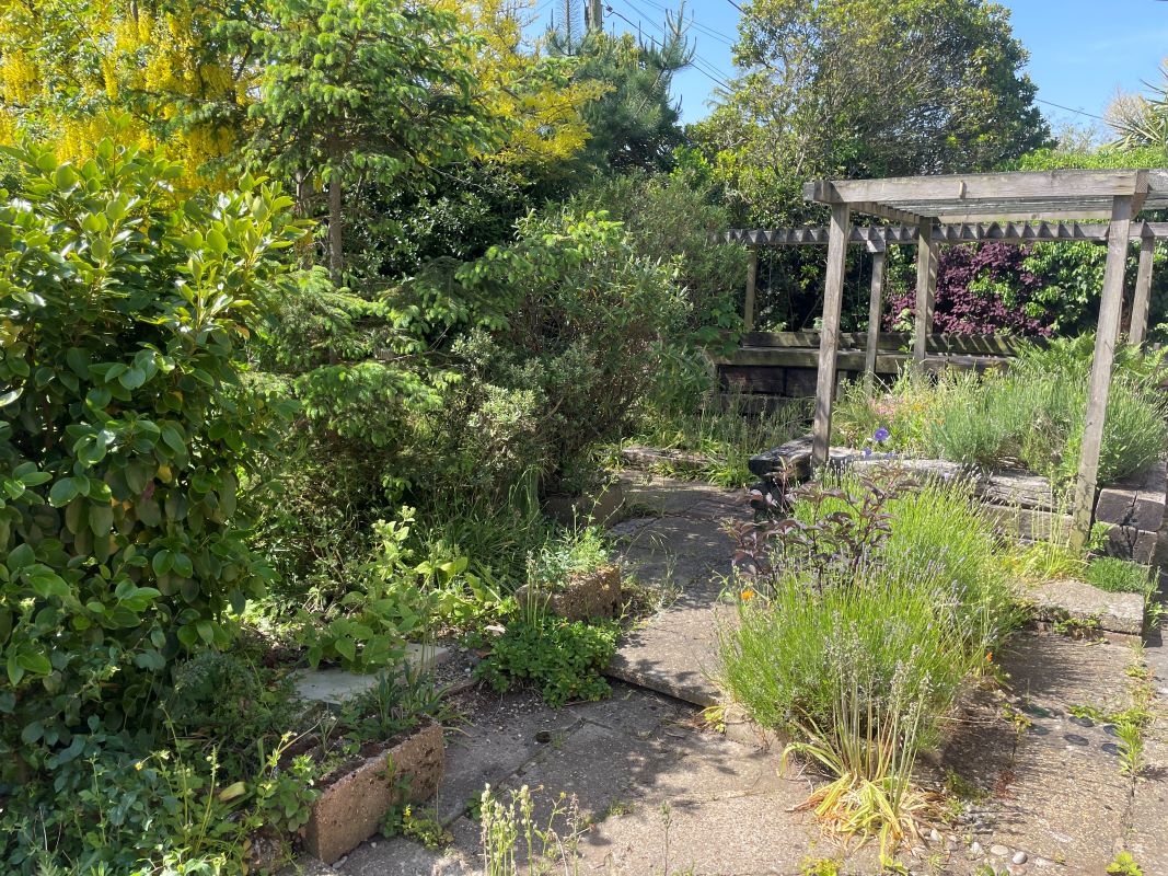 Lot Image