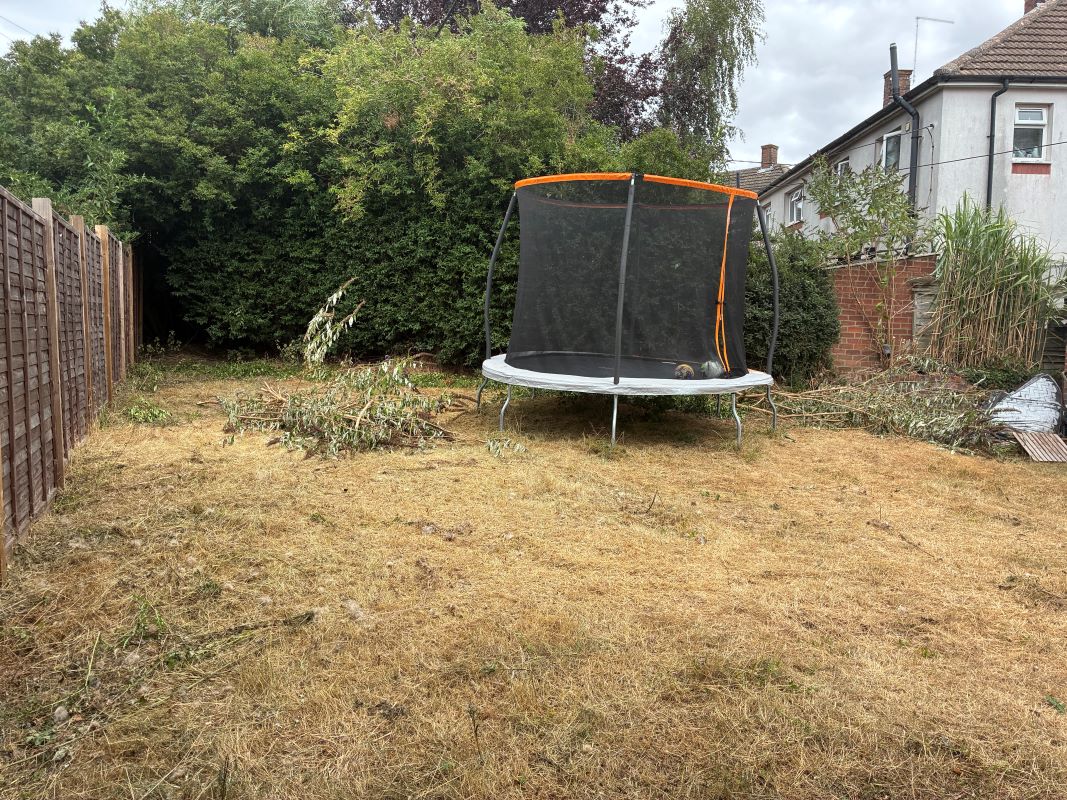Lot Image