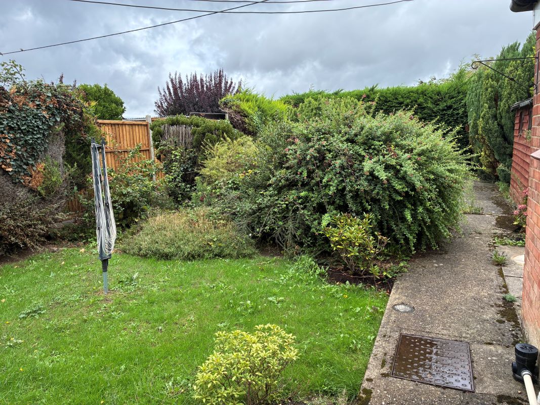 Lot Image