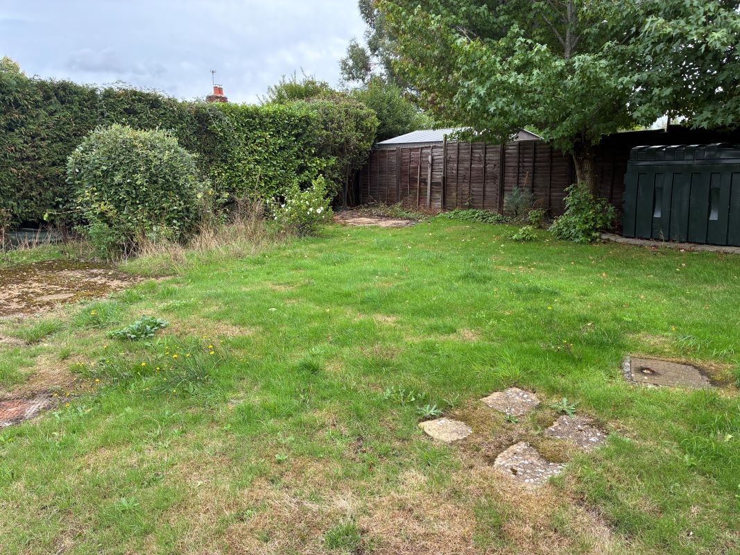 Lot Image