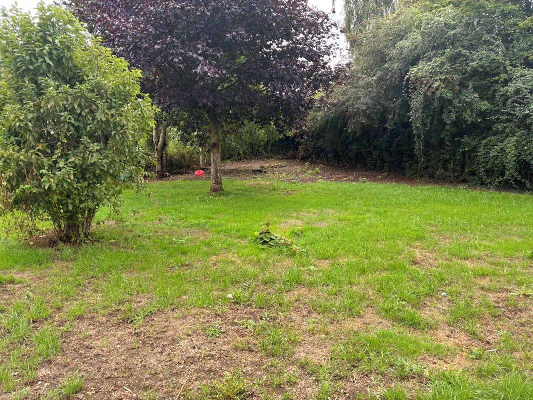 Lot Image