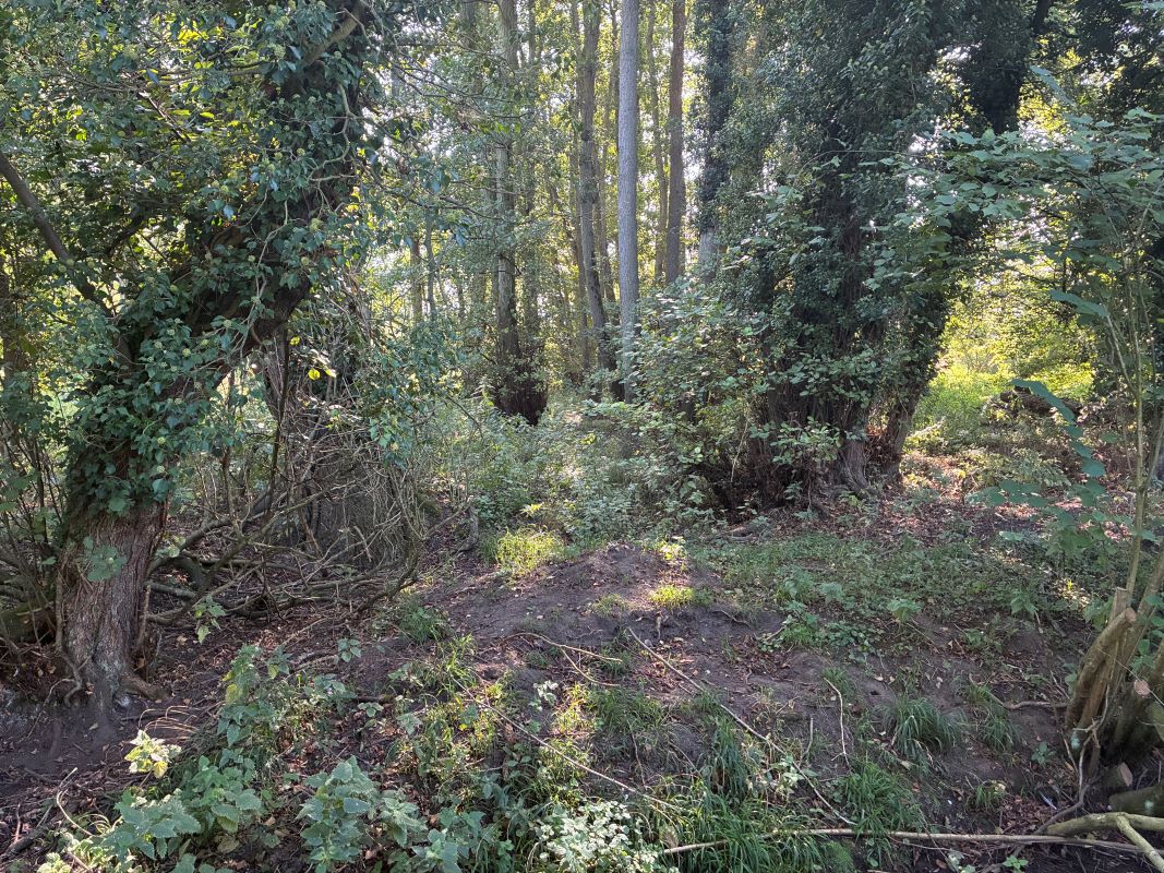 Lot Image