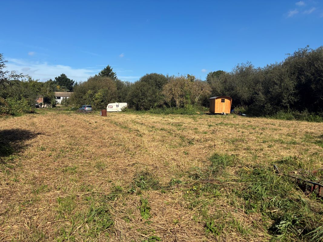 Lot Image