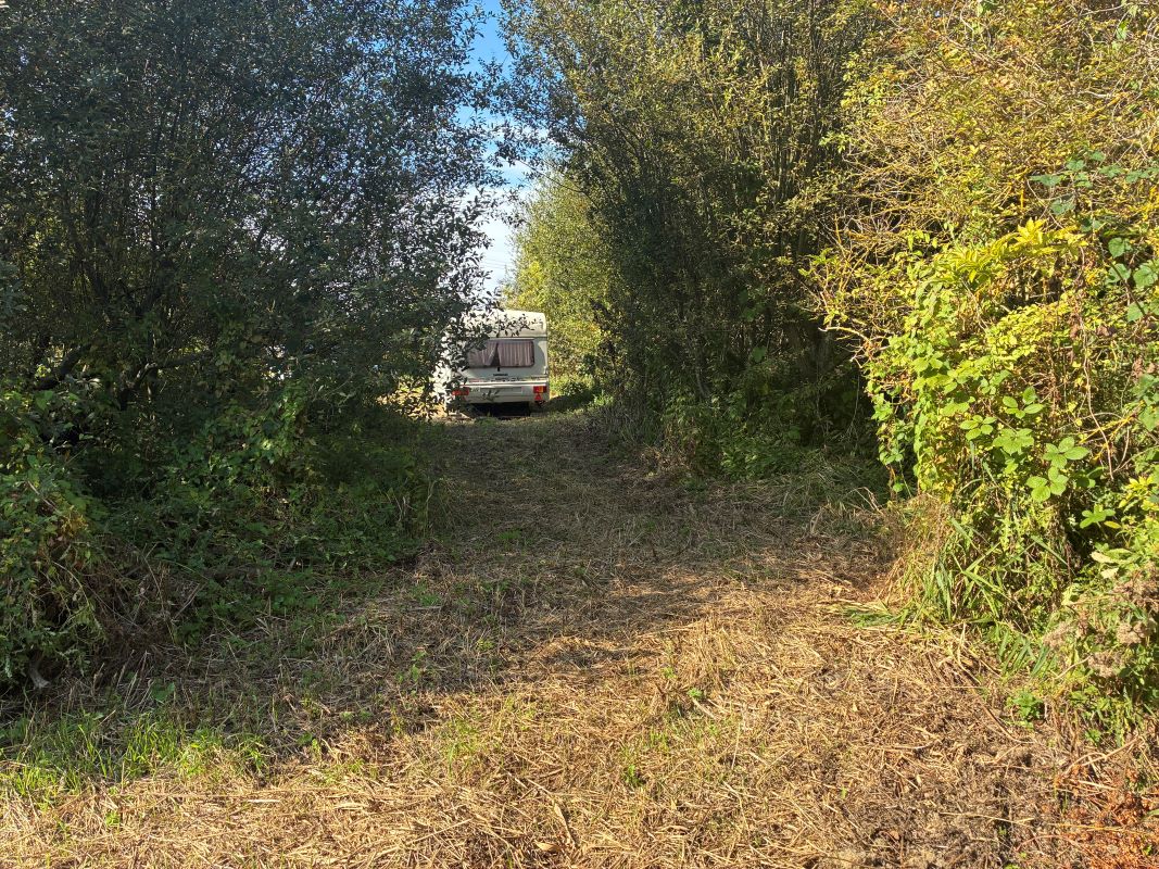 Lot Image