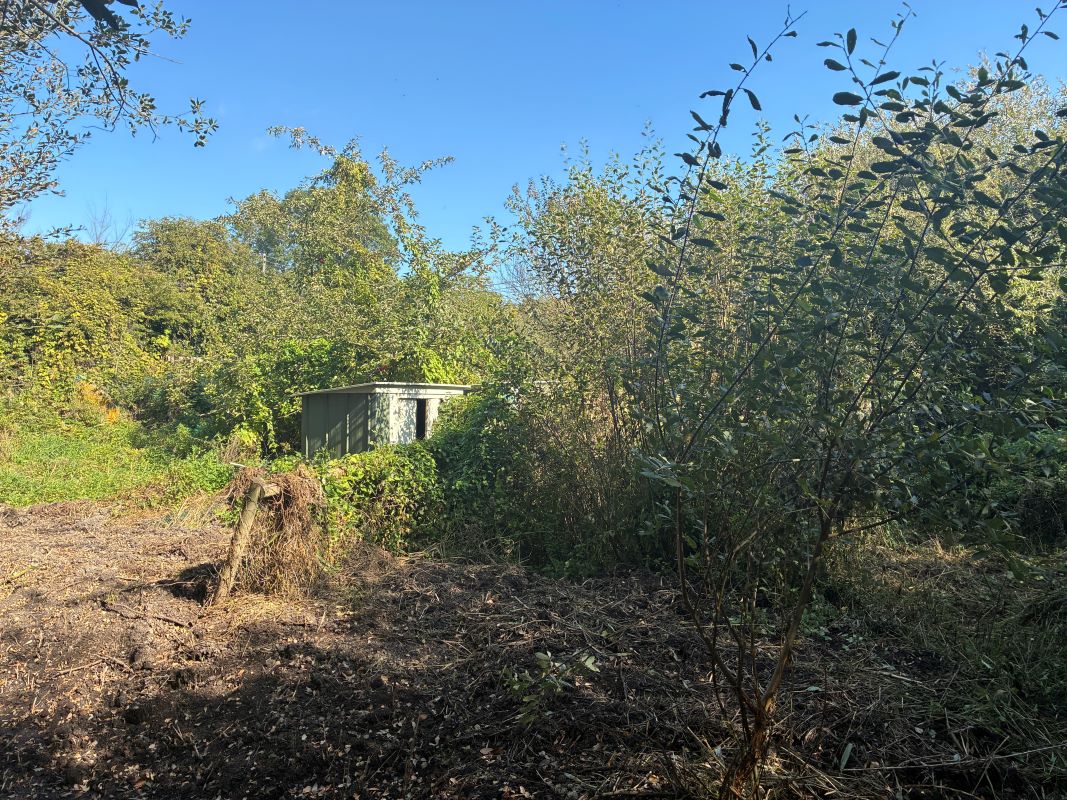 Lot Image