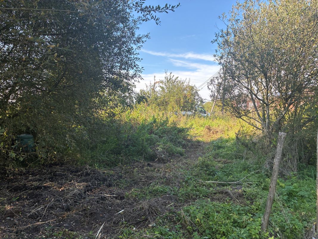 Lot Image