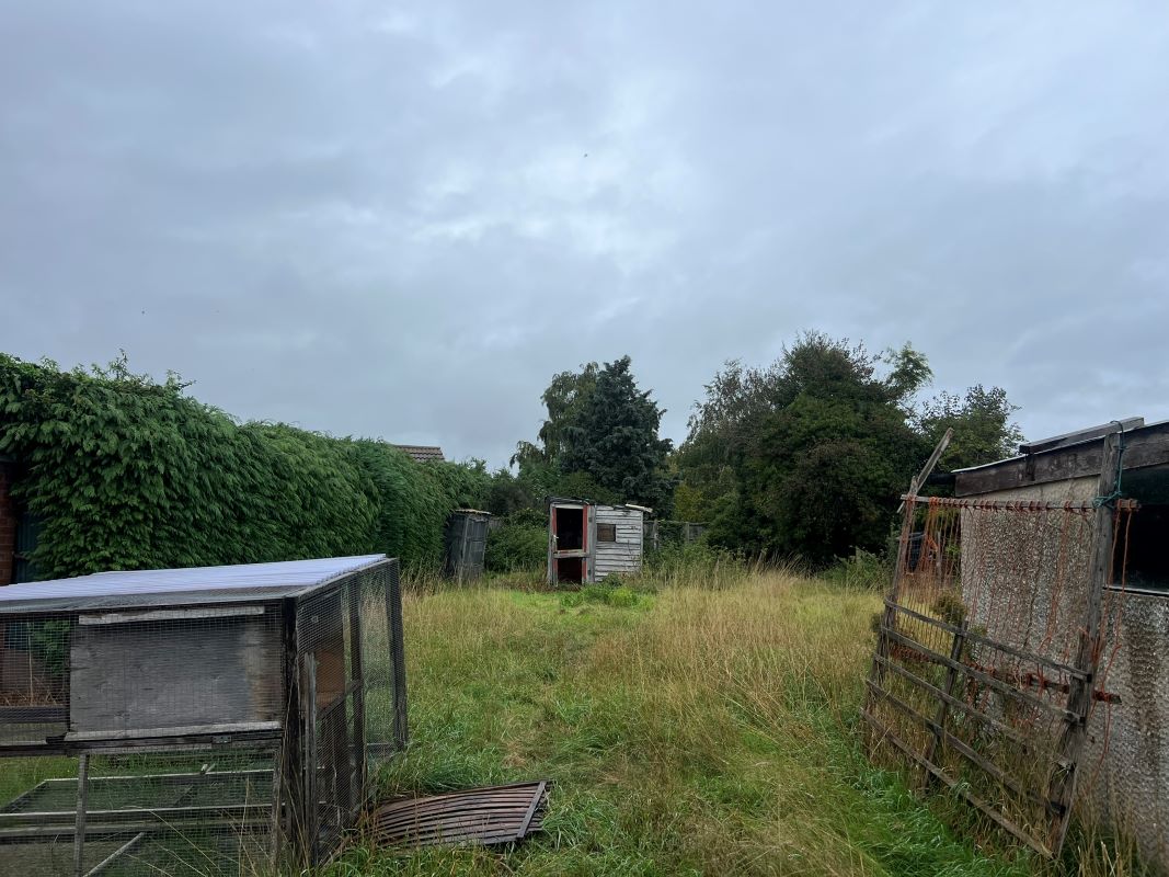 Lot Image