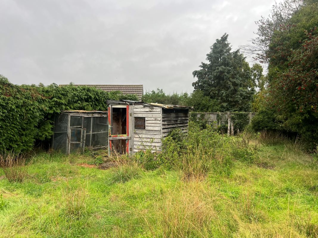 Lot Image