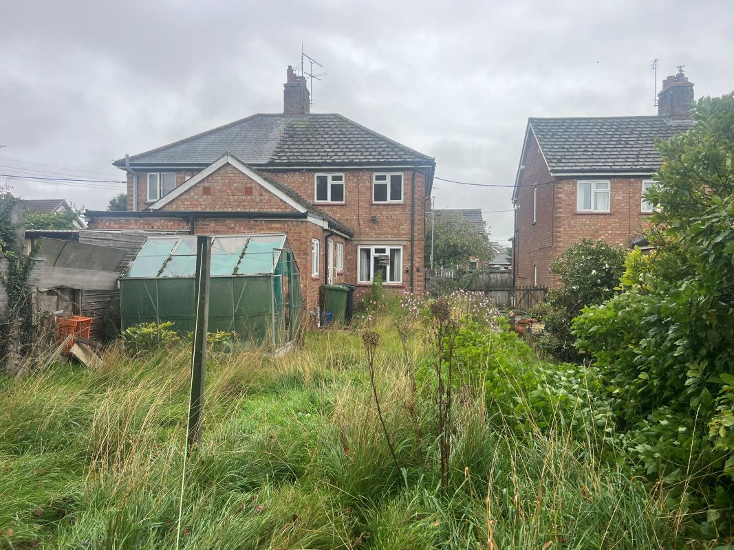 Lot Image