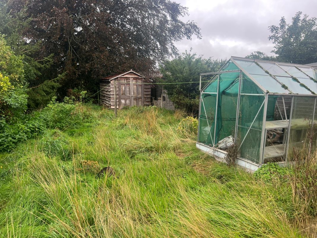 Lot Image