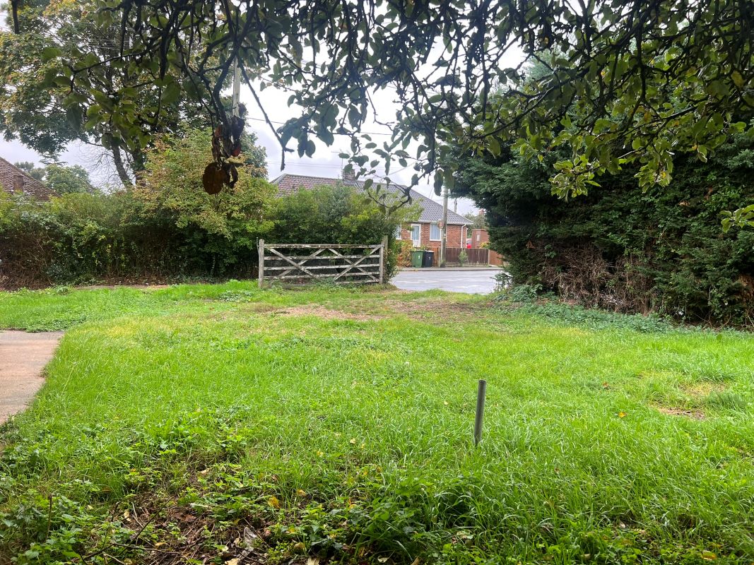 Lot Image
