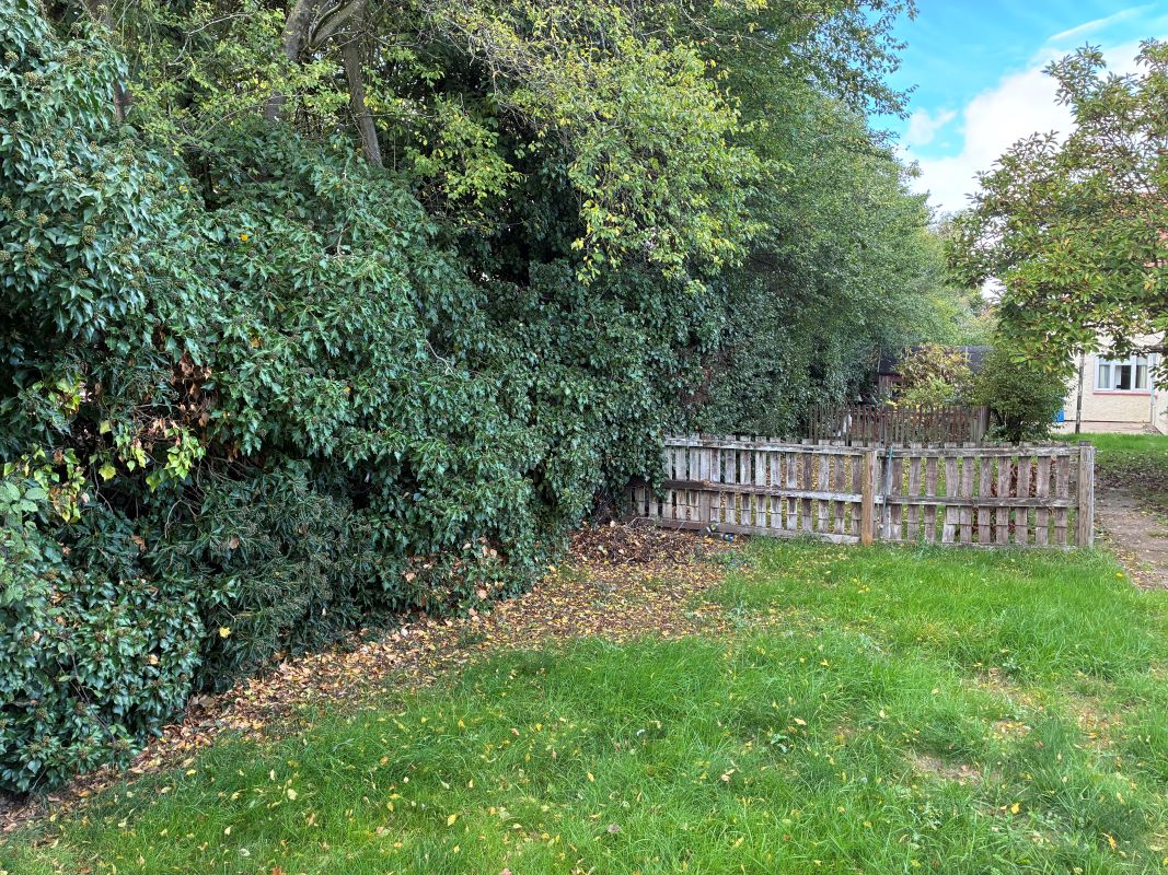 Lot Image