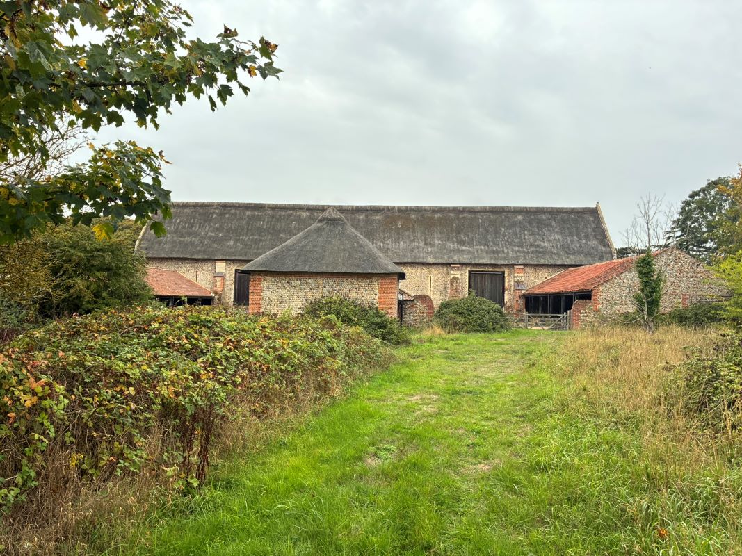Lot Image