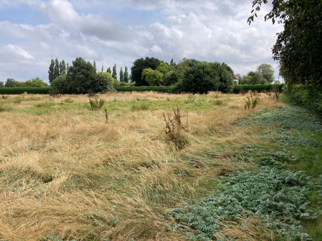 Land, Sedge Fen, Lakenheath, Suffolk, IP27 9LQ Online Auctions