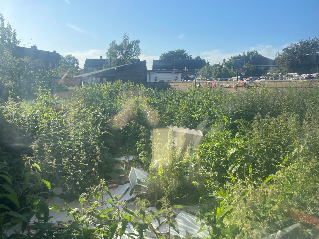 Lot Image