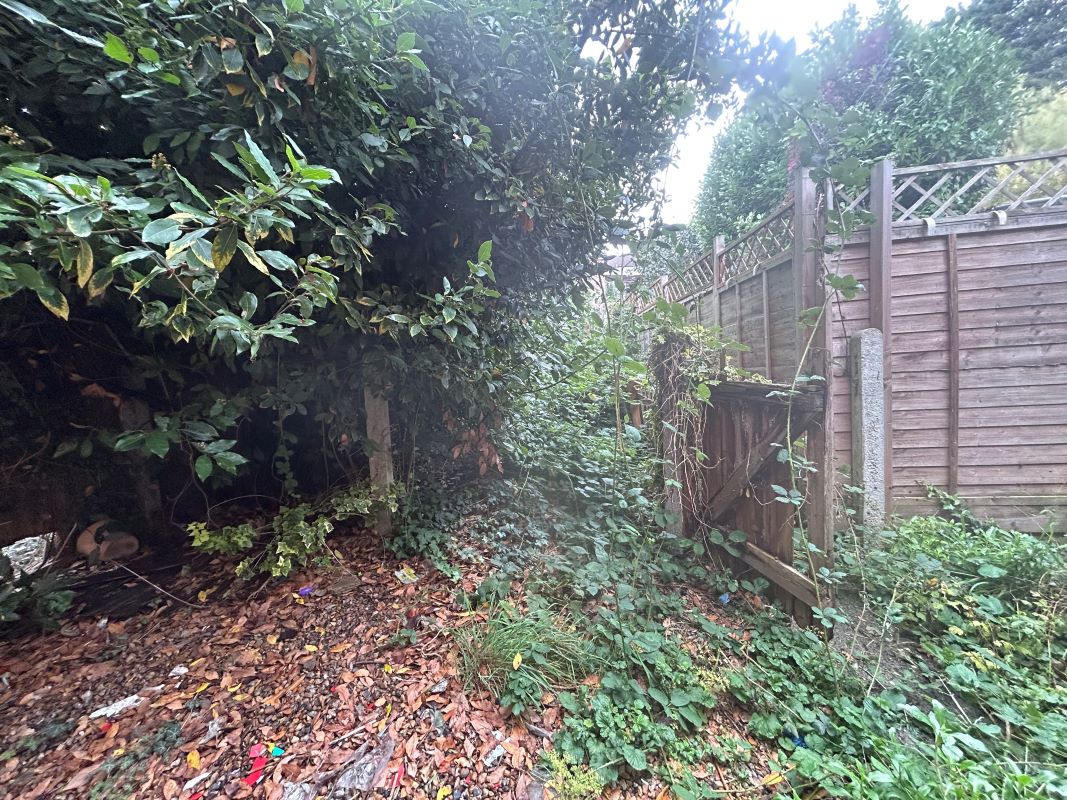 Lot Image