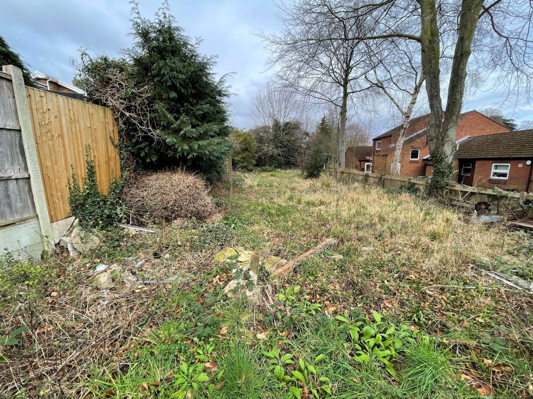 Lot Image
