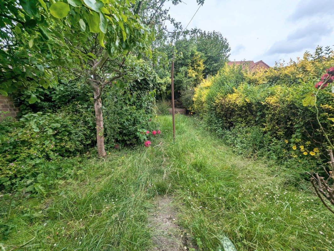 Lot Image
