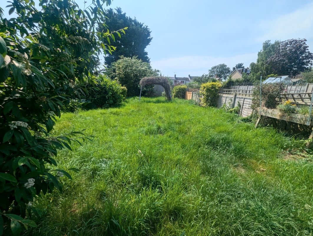 Lot Image