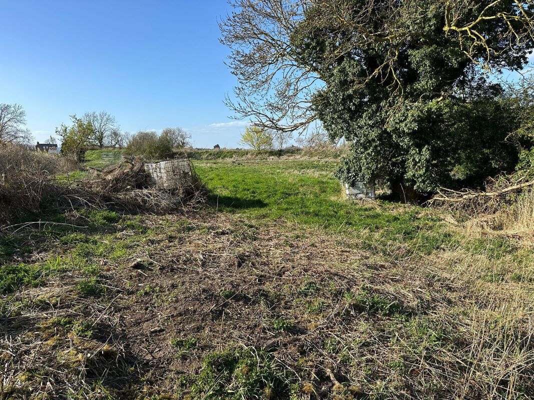 Lot Image