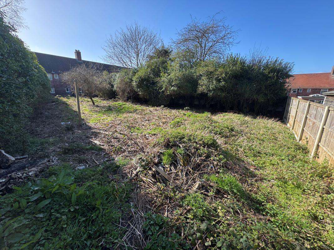 Lot Image