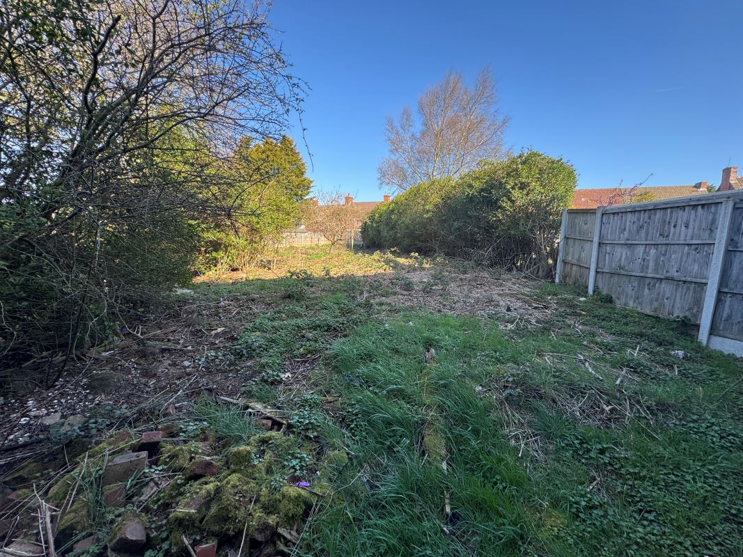 Lot Image