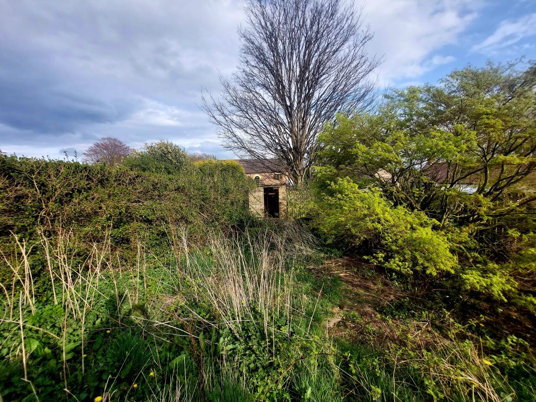 Lot Image