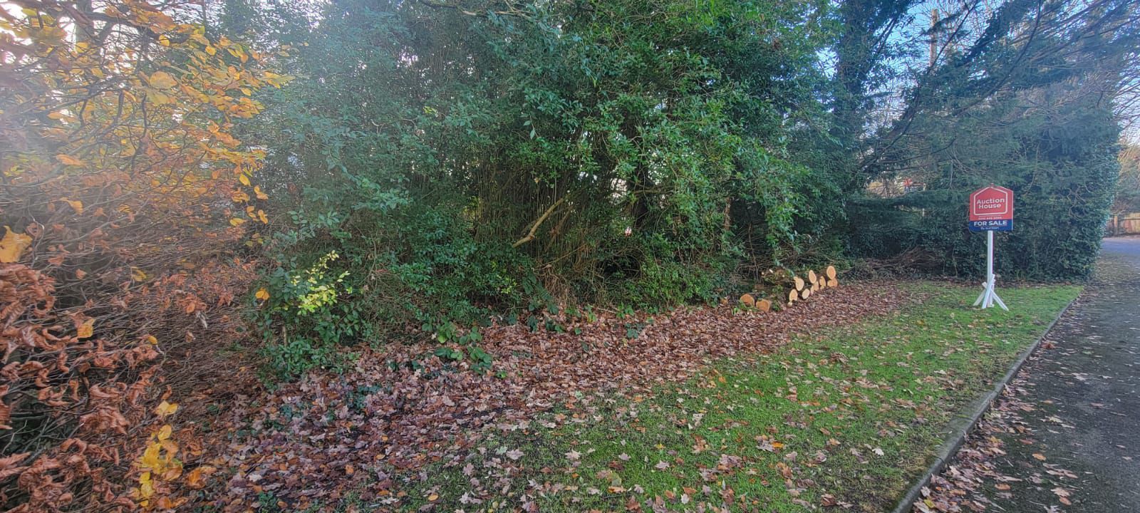 Lot Image