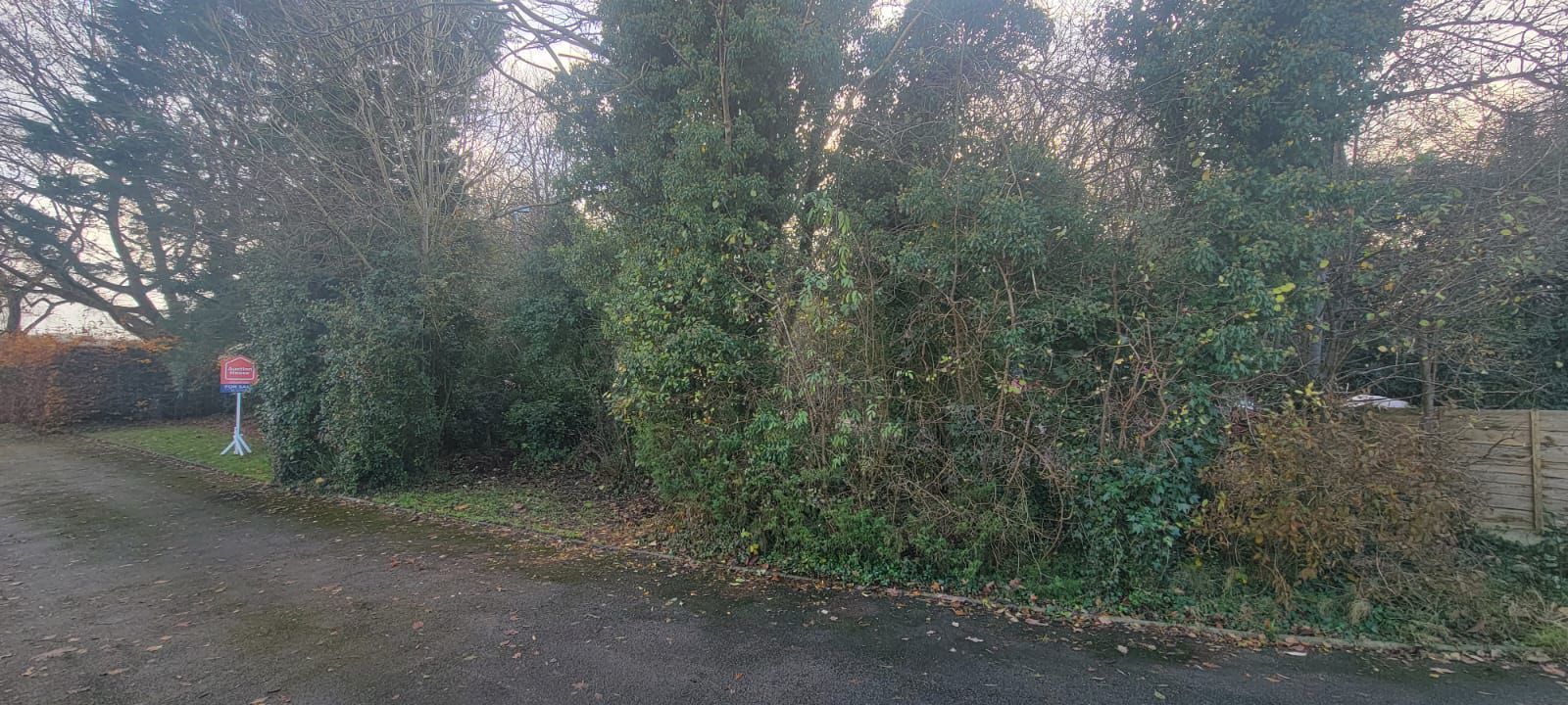 Lot Image