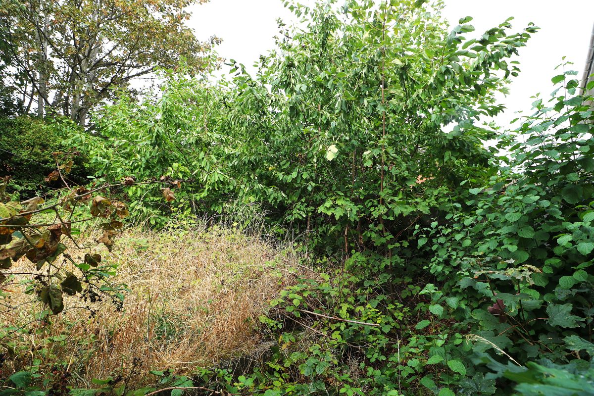 Daley Road, Bilston, West Midlands, WV14 8AZ - Online Auctions