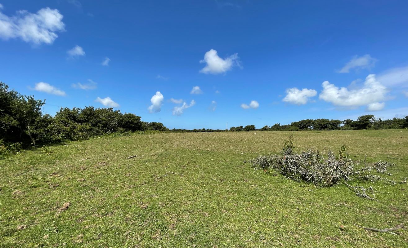 Llyn Y Coed Llantrisant, Holyhead, Gwynedd, LL65 4TN