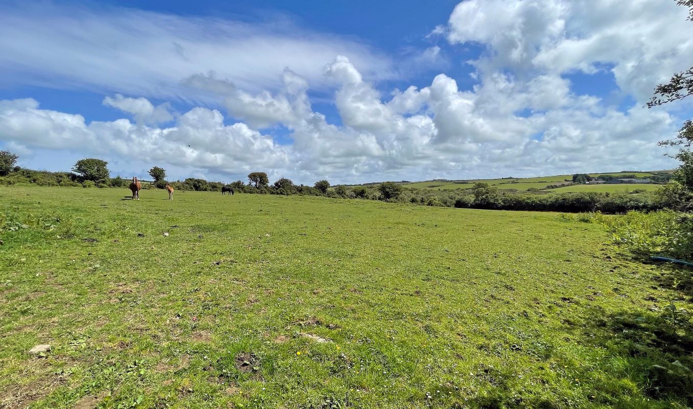 Llyn Y Coed Llantrisant, Holyhead, Gwynedd, LL65 4TN