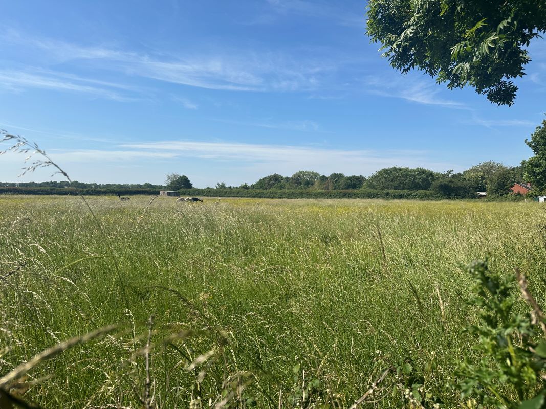 Property for Auction in East Anglia - Land off Low Street, Bungay, Suffolk, NR35 1QZ