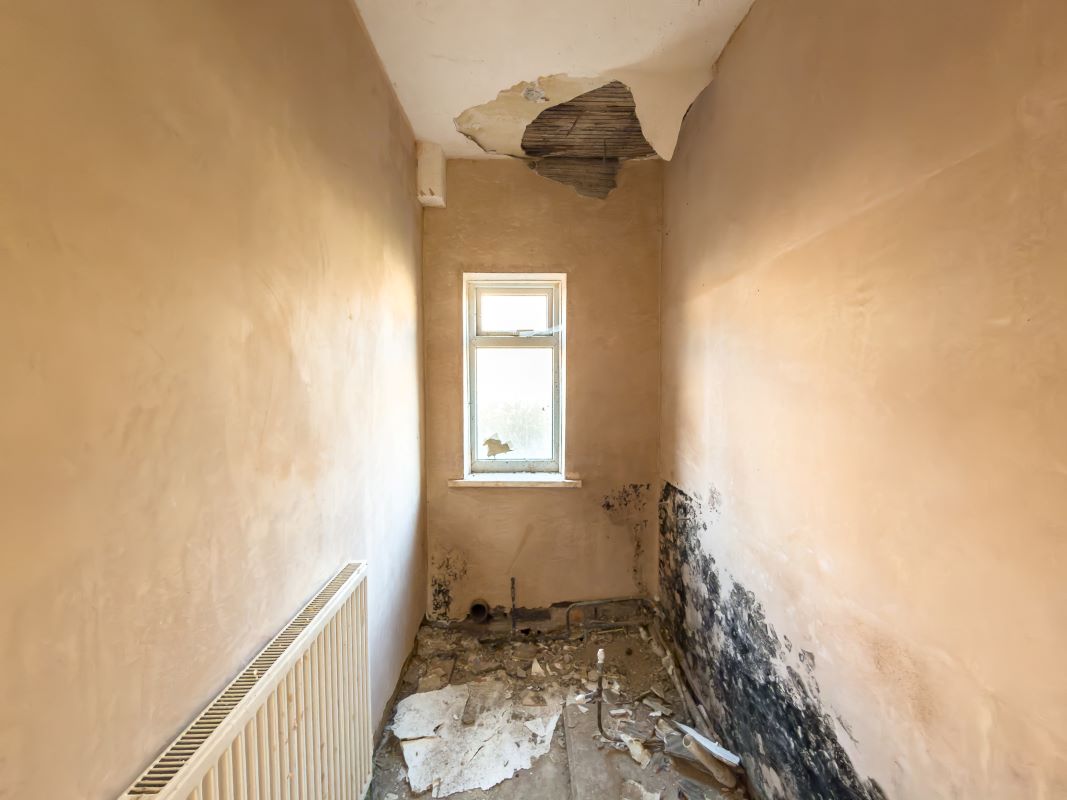 227 Scarborough Road, Newcastle upon Tyne, Tyne and Wear, NE6 2RX