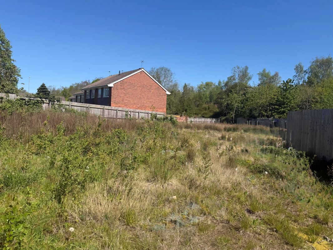Lot Image