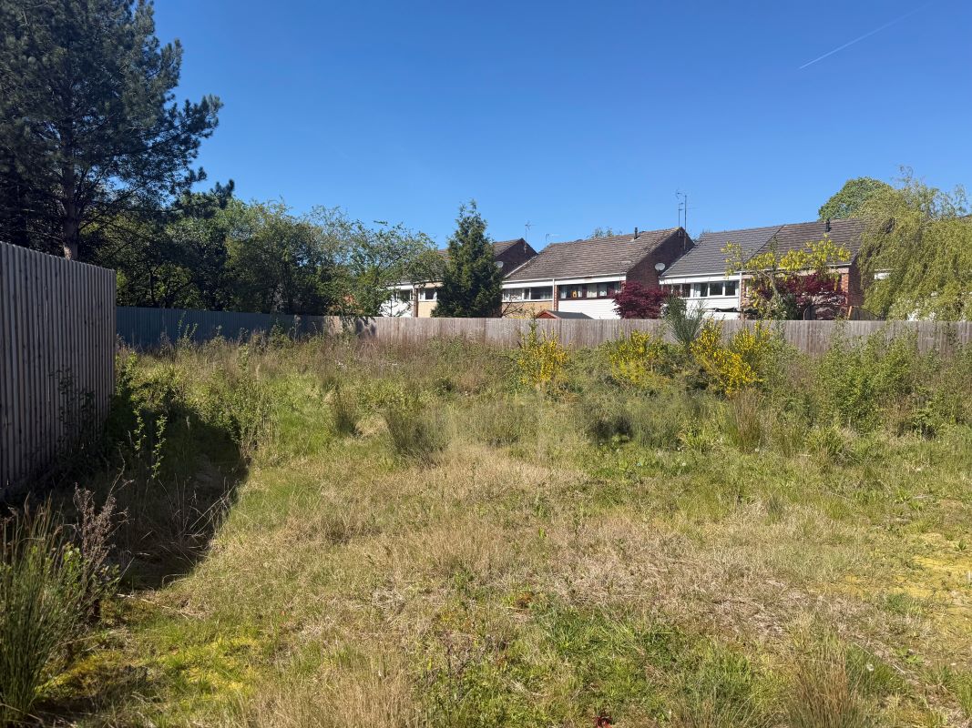 Lot Image