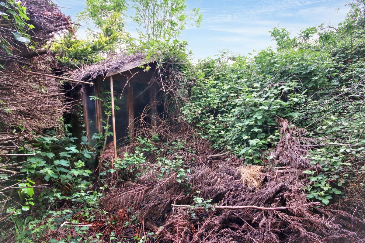 Lot Image