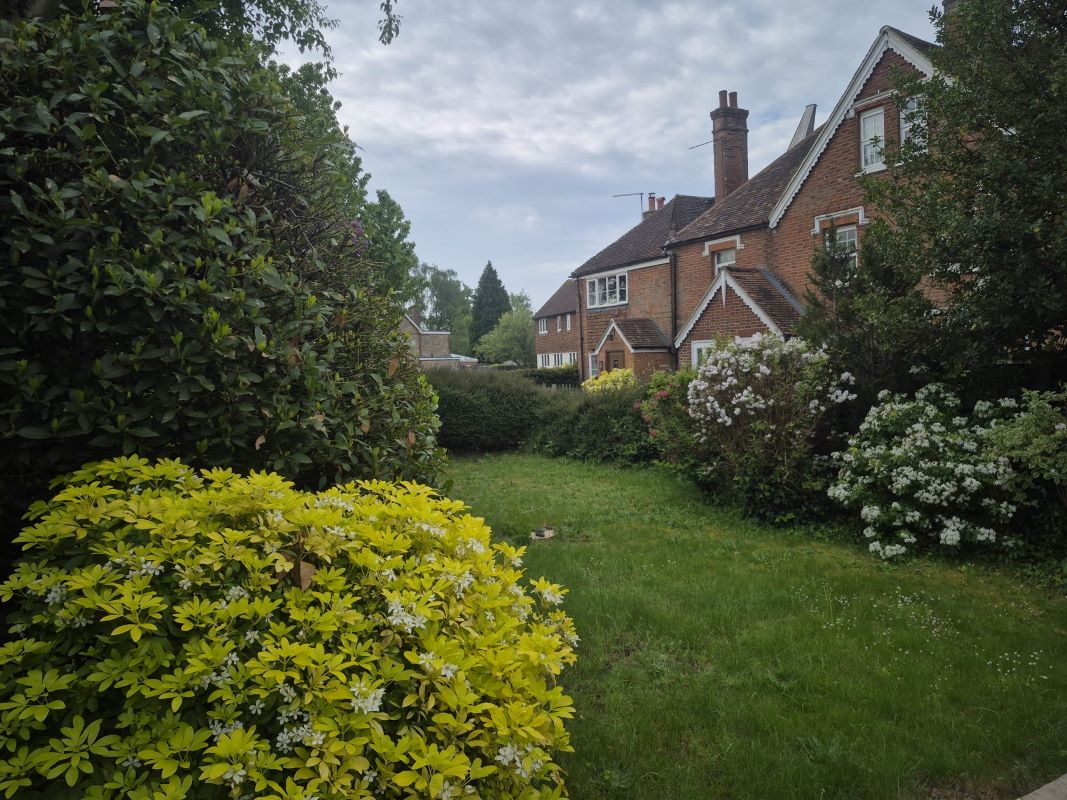 Lot Image