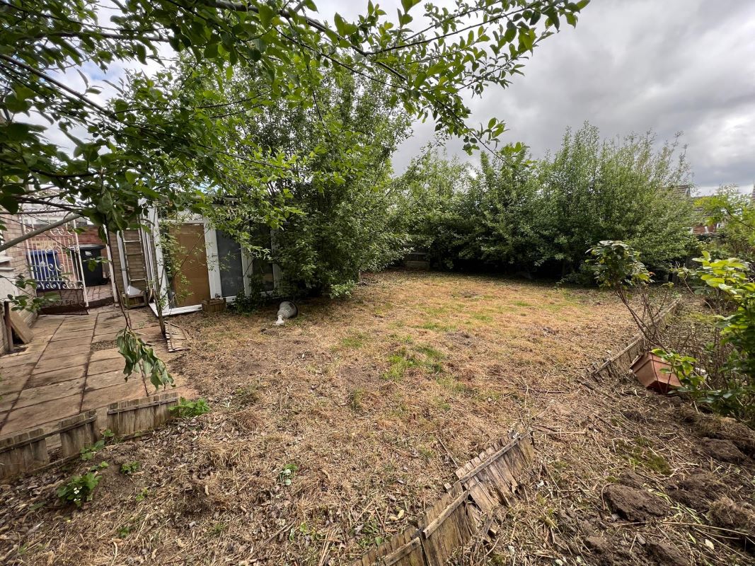 Lot Image