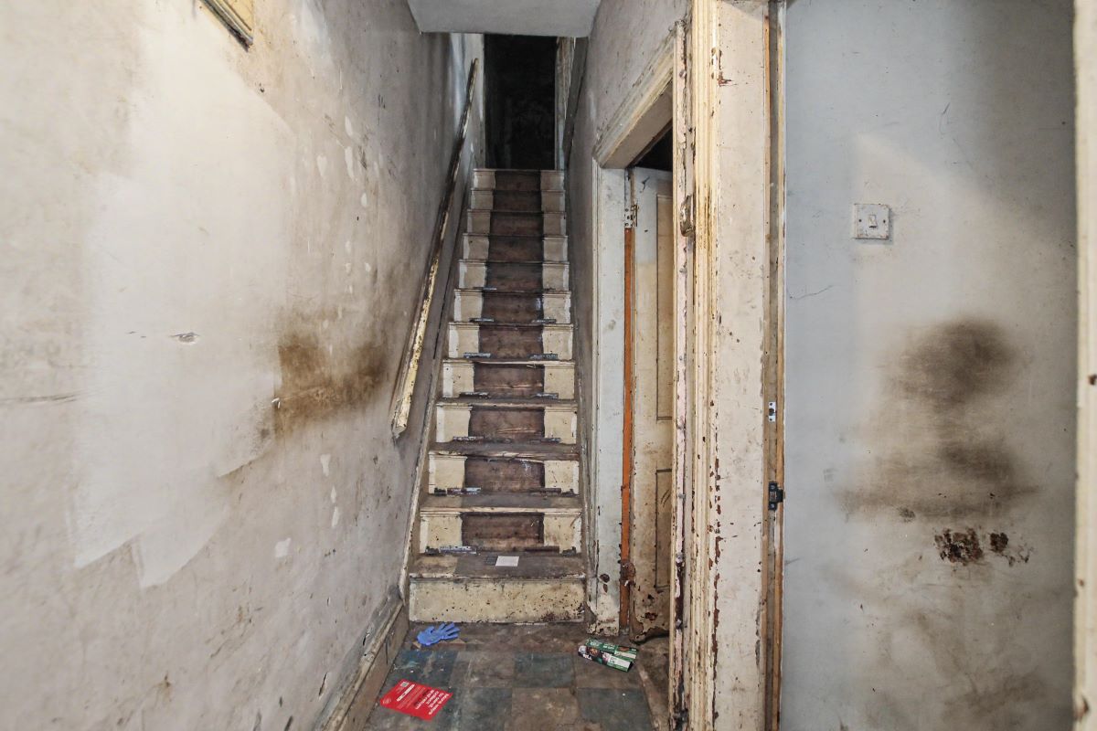 Lot Image